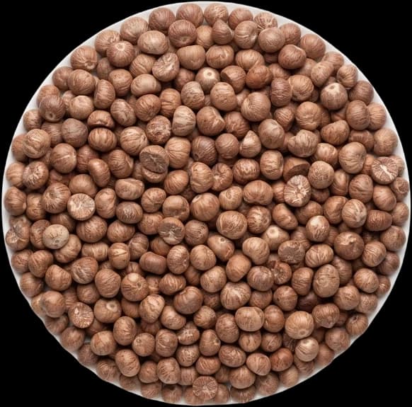 Dried areca nuts filling a circle, whole and even in colour